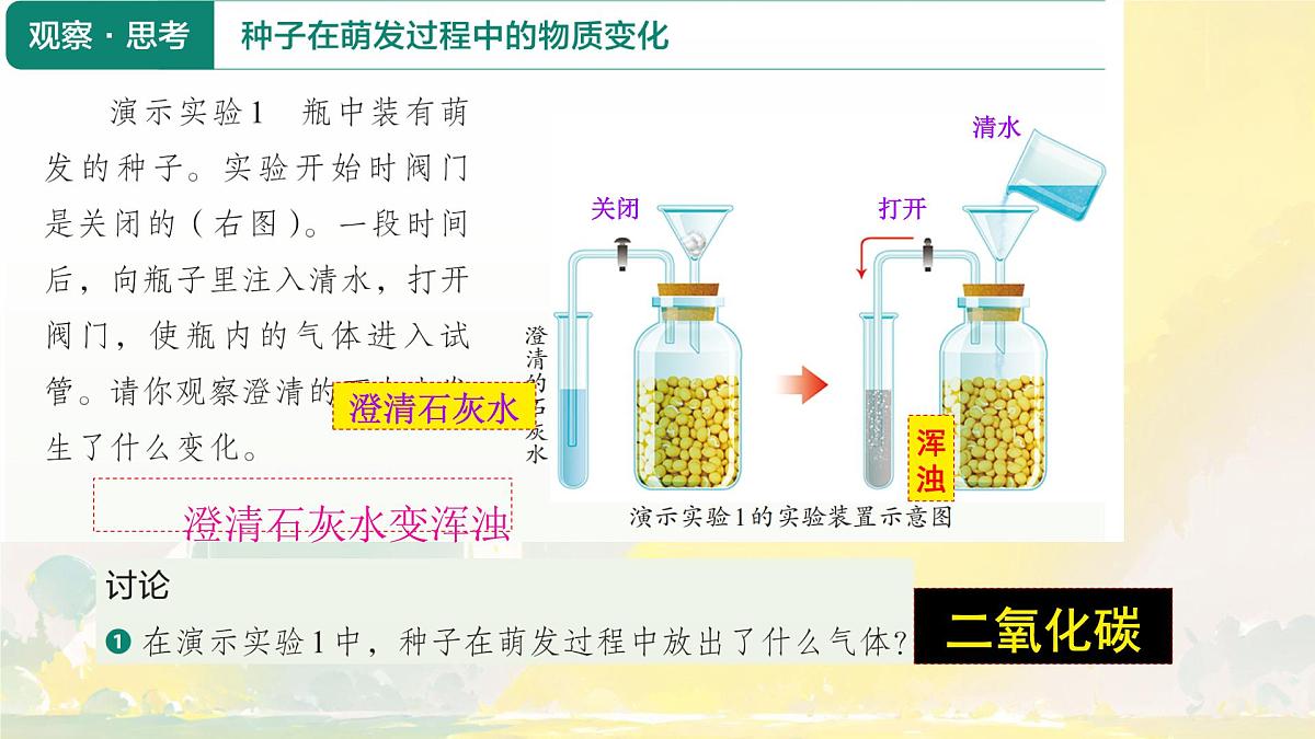 初中  生物  人教版（2024） 七年级下册3.2.3 呼吸作用 课件第3页