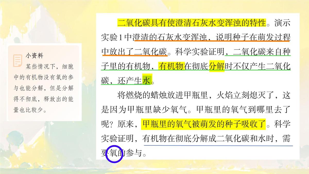 初中  生物  人教版（2024） 七年级下册3.2.3 呼吸作用 课件第5页