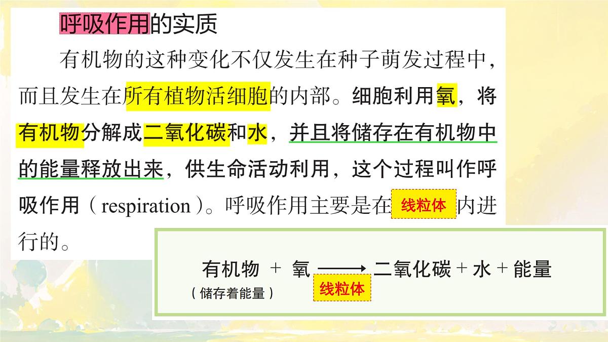 初中  生物  人教版（2024） 七年级下册3.2.3 呼吸作用 课件第6页