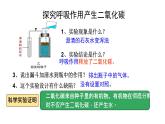 初中  生物  人教版（2024） 七年级下册3.2.3 呼吸作用（共2课时） 课件