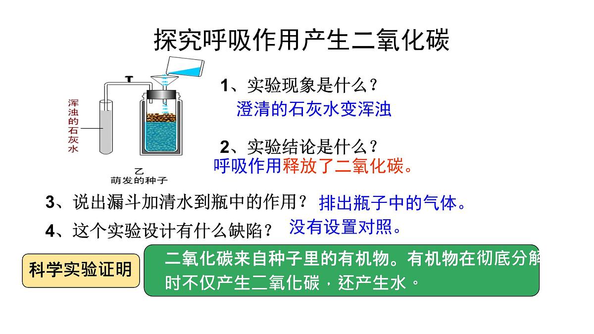 初中  生物  人教版（2024） 七年级下册3.2.3 呼吸作用（共2课时） 课件第5页