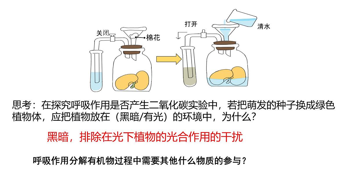 初中  生物  人教版（2024） 七年级下册3.2.3 呼吸作用（共2课时） 课件第6页