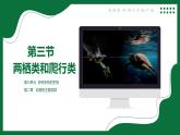 2.3 兩棲類和爬行類（課件）-2024-2025學(xué)年六年級(jí)生物下冊(cè)（魯科版五四學(xué)制2024）