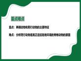 2.3 兩棲類和爬行類（課件）-2024-2025學(xué)年六年級(jí)生物下冊(cè)（魯科版五四學(xué)制2024）