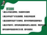 2.4 鳥類（課件）-2024-2025學年六年級生物下冊（魯科版五四學制2024）