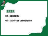 2.4 鳥類（課件）-2024-2025學年六年級生物下冊（魯科版五四學制2024）