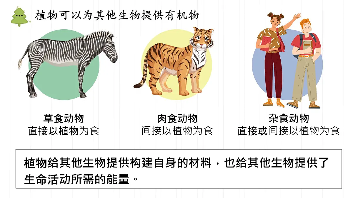 初中 生物 人教版（2024） 七年级下册3.2.4 植物在自然界中的作用 课件第4页