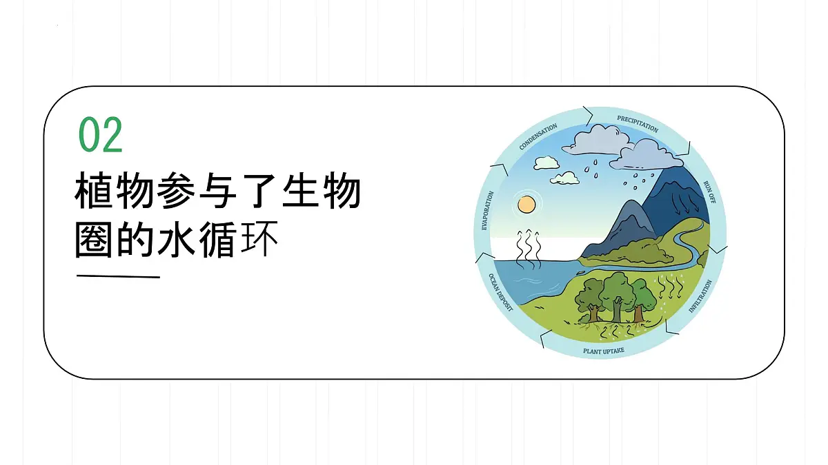 初中 生物 人教版（2024） 七年级下册3.2.4 植物在自然界中的作用 课件第6页