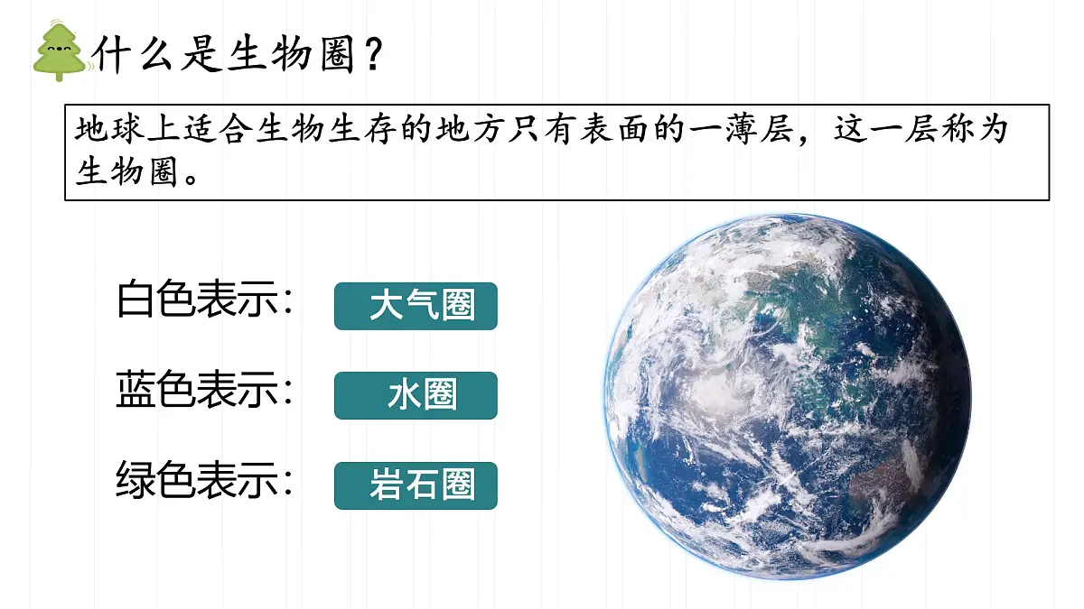 初中 生物 人教版（2024） 七年级下册3.2.4 植物在自然界中的作用 课件第7页