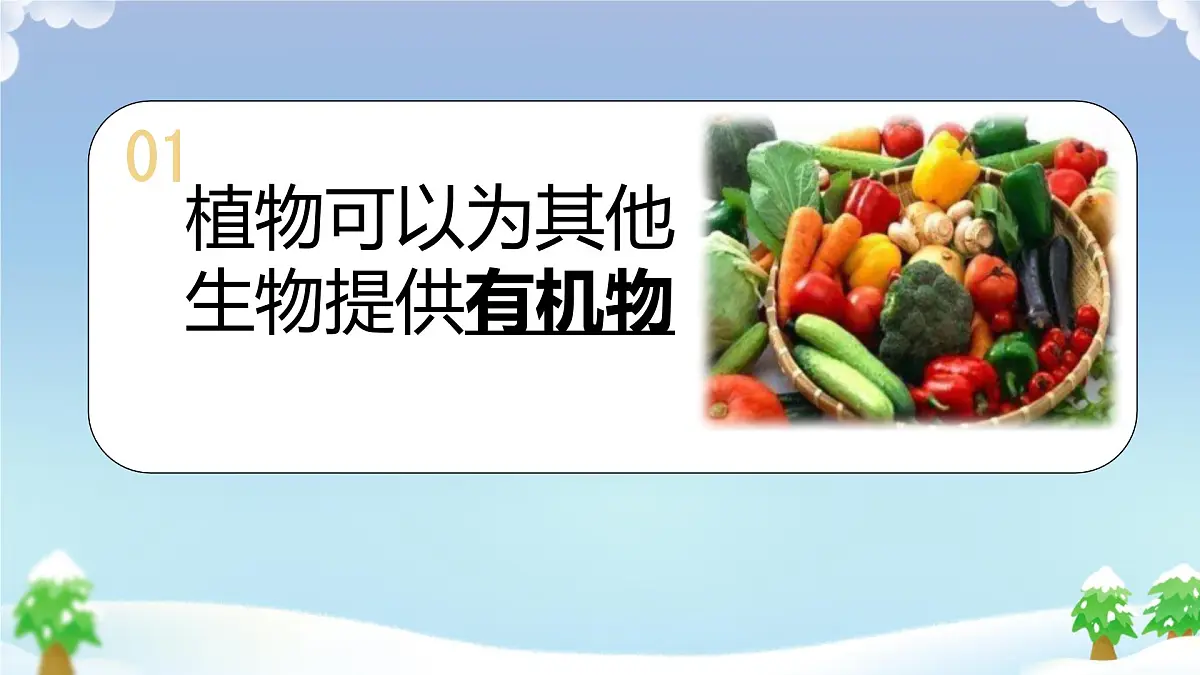 初中 生物 人教版（2024） 七年级下册3.2.4 植物在自然界中的作用 课件第4页