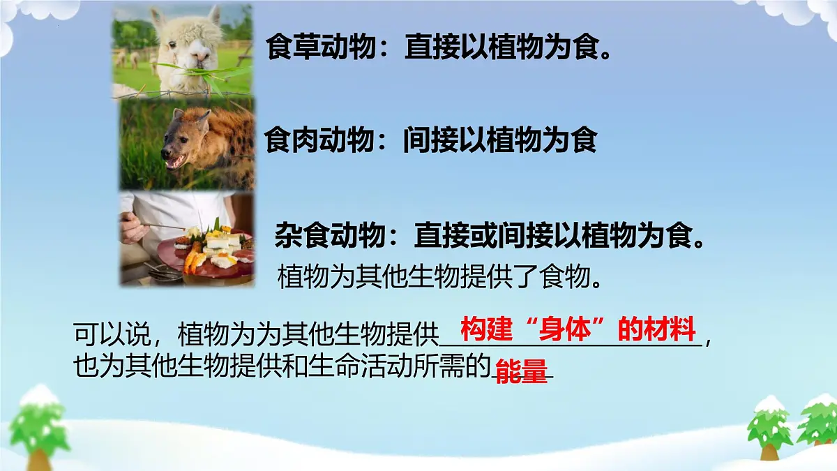 初中 生物 人教版（2024） 七年级下册3.2.4 植物在自然界中的作用 课件第6页