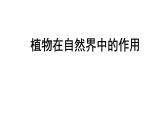 初中  生物  人教版（2024） 七年级下册3.2.4 植物在自然界中的作用 课件