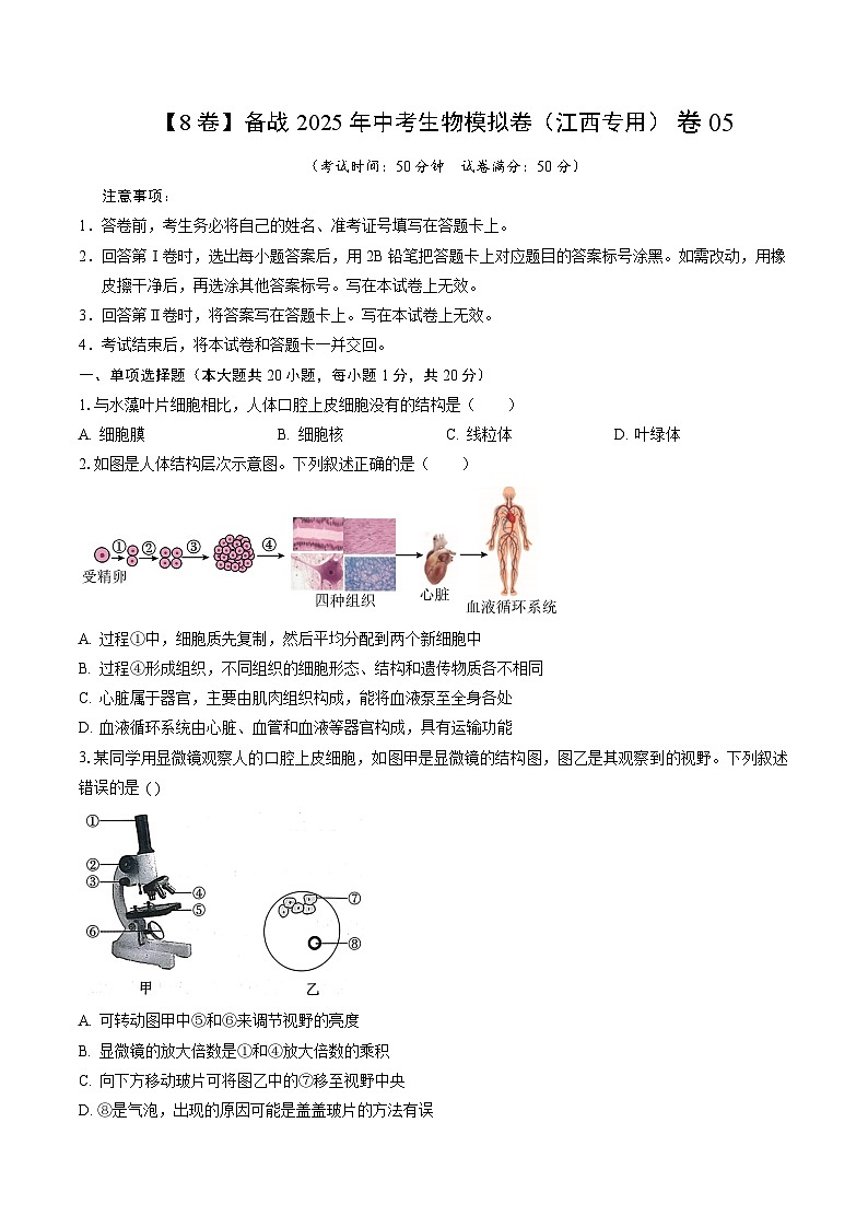 卷05（江西专用）（考试版）第1页