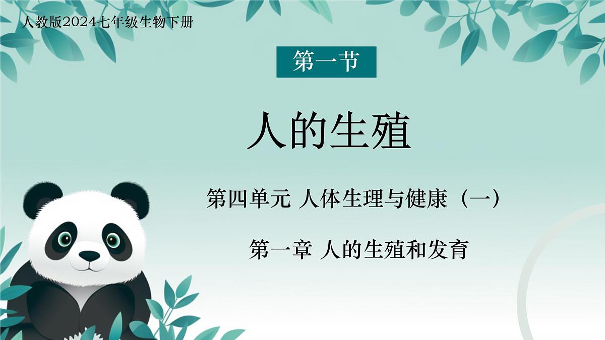 初中  生物  人教版（2024）  七年级下册（2024）第一节 人的生殖  课件第1页