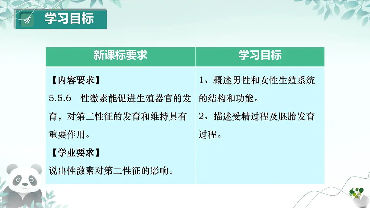 初中 生物 人教版（2024） 七年级下册（2024）第一节 人的生殖 课件第2页