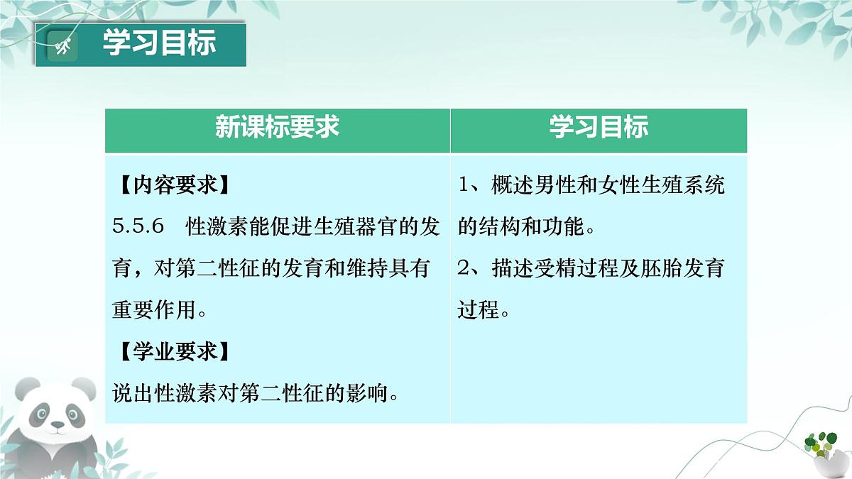 初中  生物  人教版（2024）  七年级下册（2024）第一节 人的生殖  课件第2页