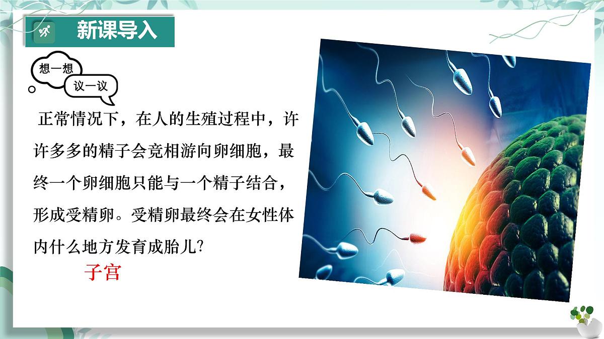 初中  生物  人教版（2024）  七年级下册（2024）第一节 人的生殖  课件第3页