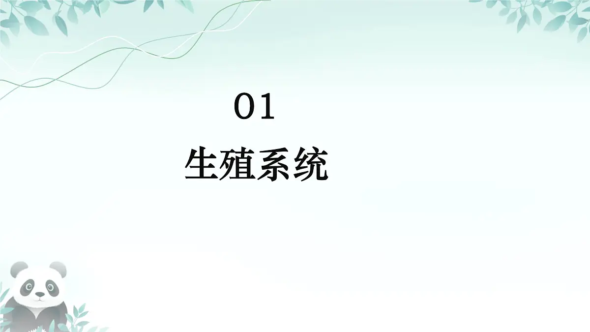 初中 生物 人教版（2024） 七年级下册（2024）第一节 人的生殖 课件第4页