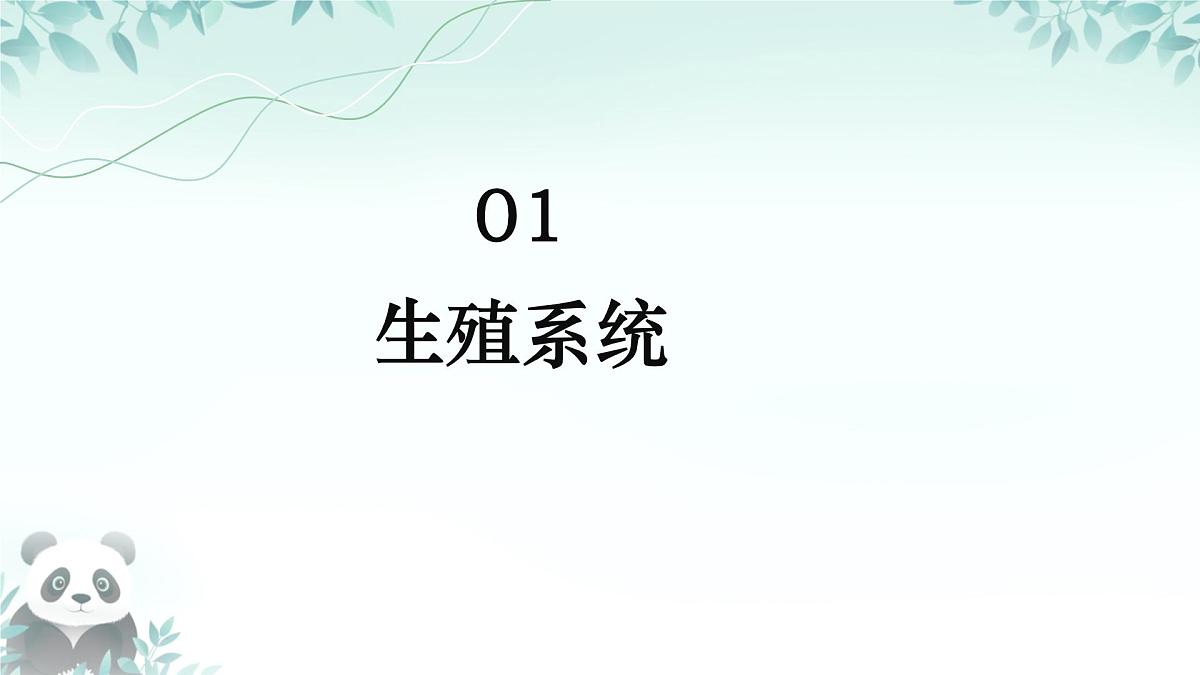 初中  生物  人教版（2024）  七年级下册（2024）第一节 人的生殖  课件第4页