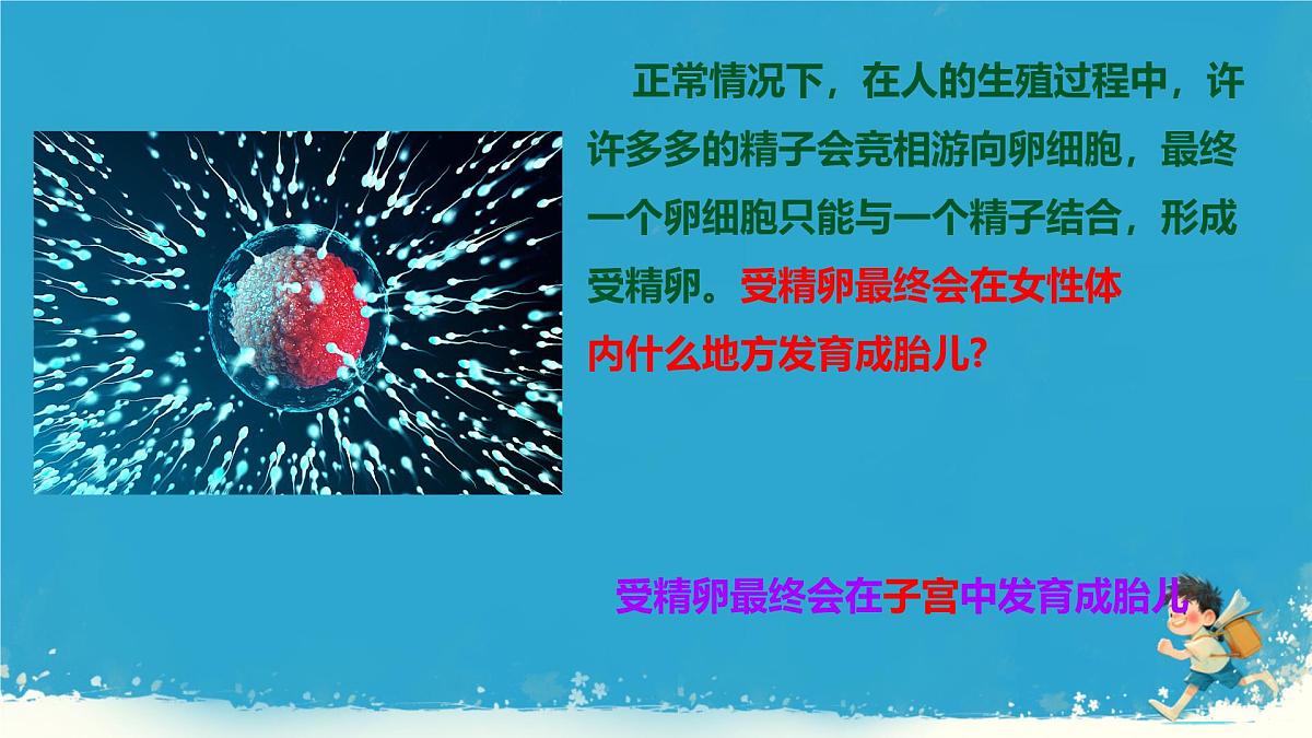 初中 生物 人教版（2024） 七年级下册（2024）第一节 人的生殖 课件第3页