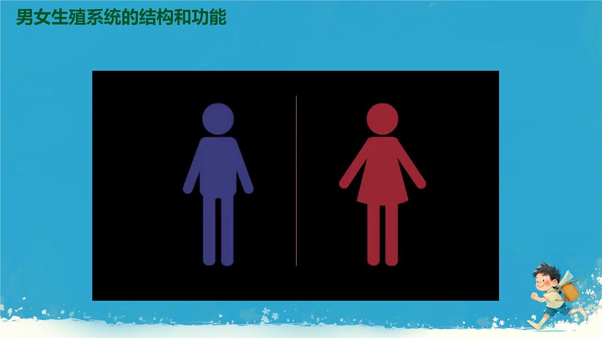 初中 生物 人教版（2024） 七年级下册（2024）第一节 人的生殖 课件第4页