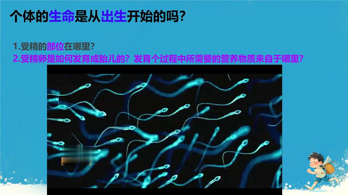 初中 生物 人教版（2024） 七年级下册（2024）第一节 人的生殖 课件第8页