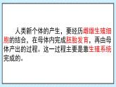 初中  生物  人教版（2024）  七年级下册（2024）第一节 人的生殖 课件