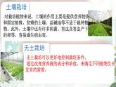 初中  生物  人教版（2024）七年級下冊（2024） 第三單元 植物的生活  第二章綜合實踐項目 栽培一種植物，探究所需的環(huán)境條件 課件