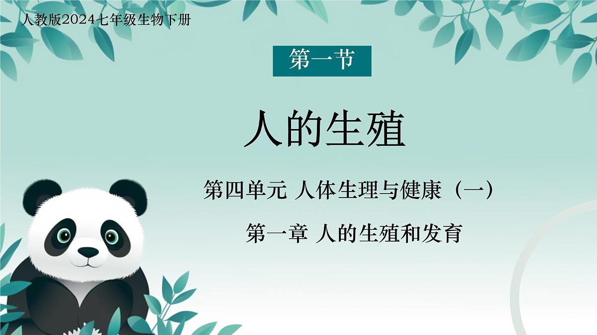 初中 生物 人教版（2024）七年级下册4.1.1人的生殖 课件第1页
