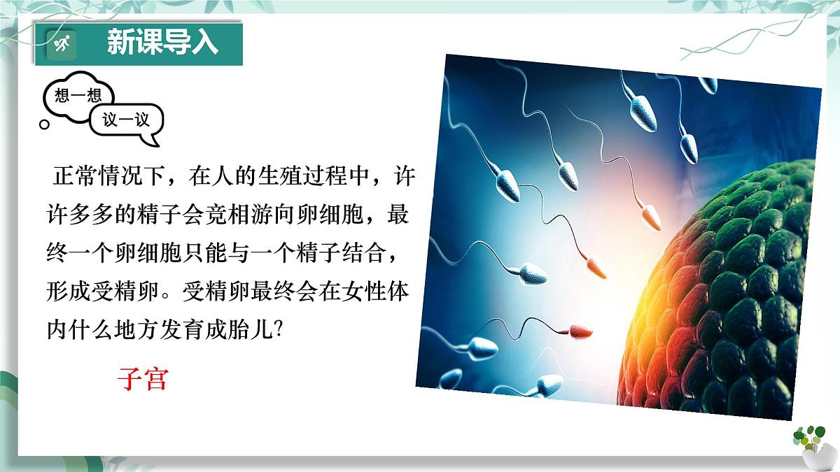 初中 生物 人教版（2024）七年级下册4.1.1人的生殖 课件第3页