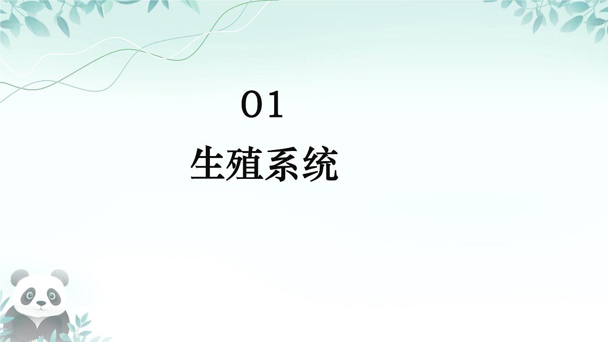 初中 生物 人教版（2024）七年级下册4.1.1人的生殖 课件第4页