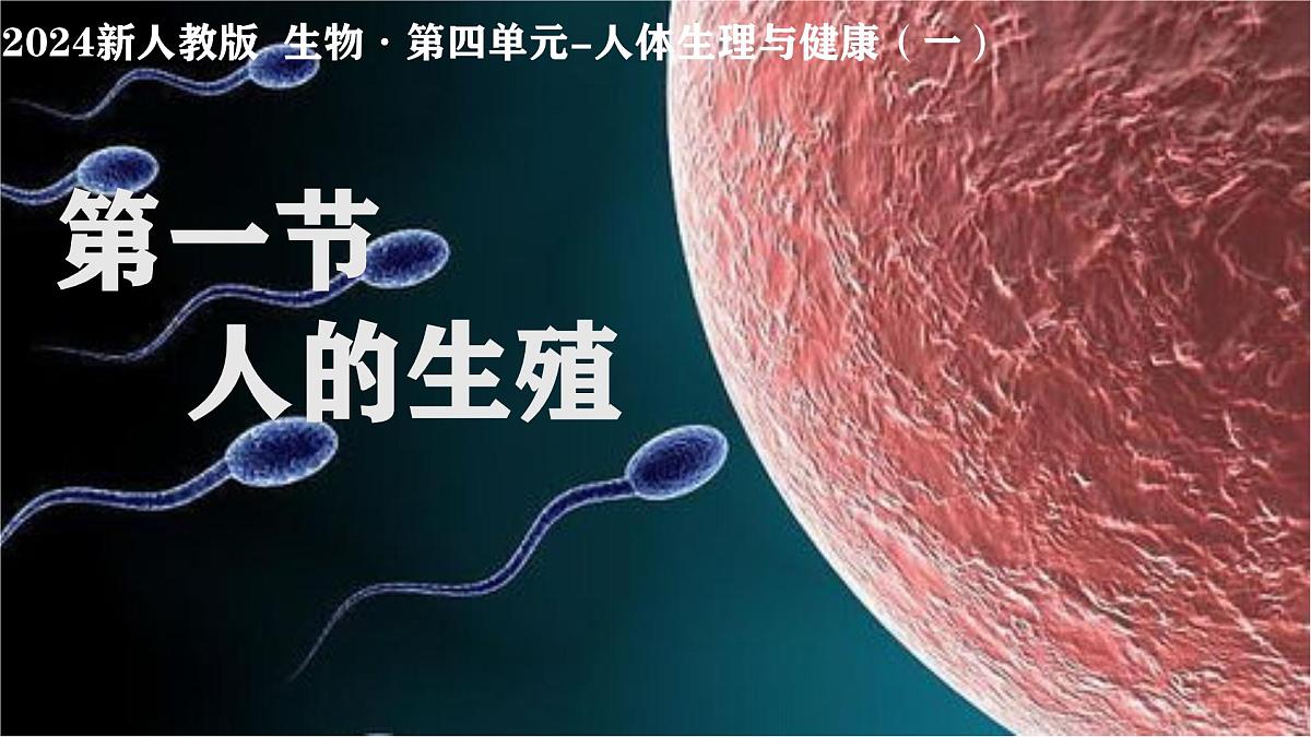 初中  生物  人教版（2024） 七年级下册4.1.1 人的生殖 课件第1页