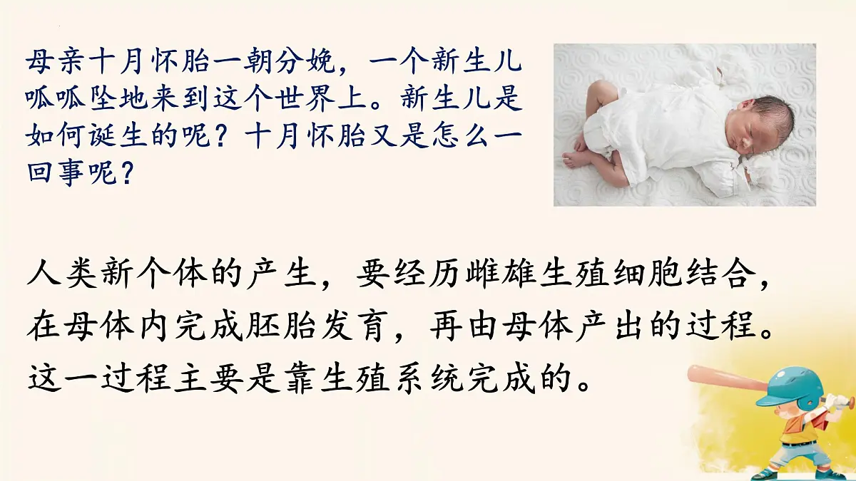 初中 生物 人教版（2024） 七年级下册（2024）第一节 人的生殖 课件第2页