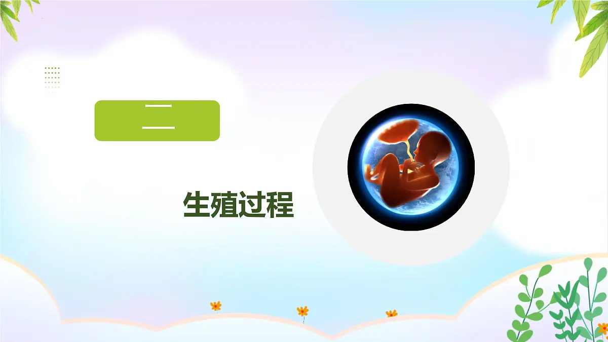 初中 生物 人教版（2024） 七年级下册（2024）第一节 人的生殖 课件第8页