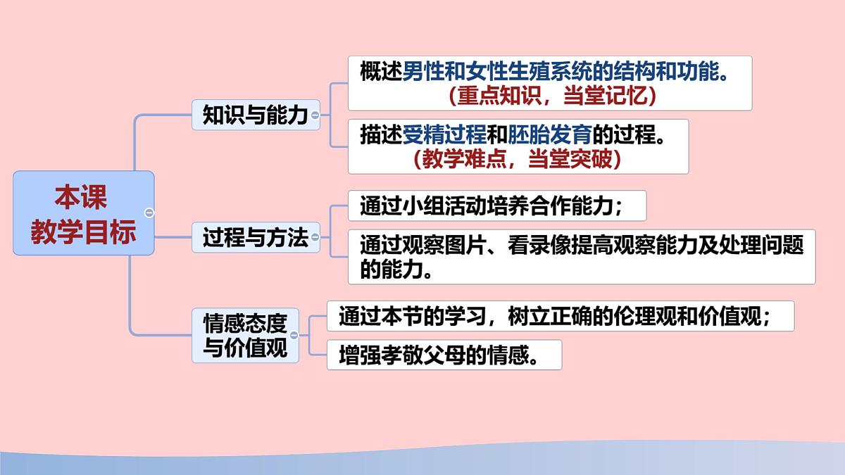 初中 生物 人教版（2024） 七年级下册（2024）第一节 人的生殖 课件第2页