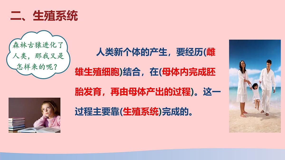 初中 生物 人教版（2024） 七年级下册（2024）第一节 人的生殖 课件第4页