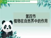 初中  生物  人教版（2024）  七年級下冊（2024）第四節(jié) 植物在自然界中的作用 課件