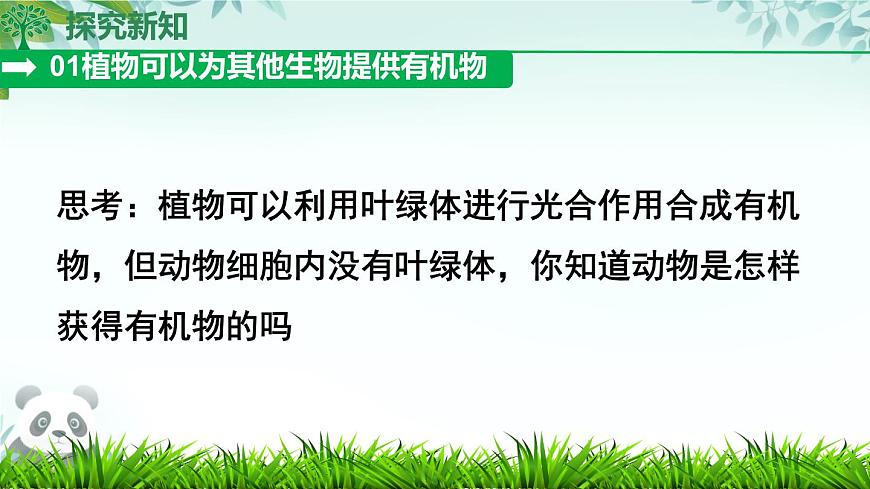 初中  生物  人教版（2024）  七年级下册（2024）第四节 植物在自然界中的作用 课件第6页