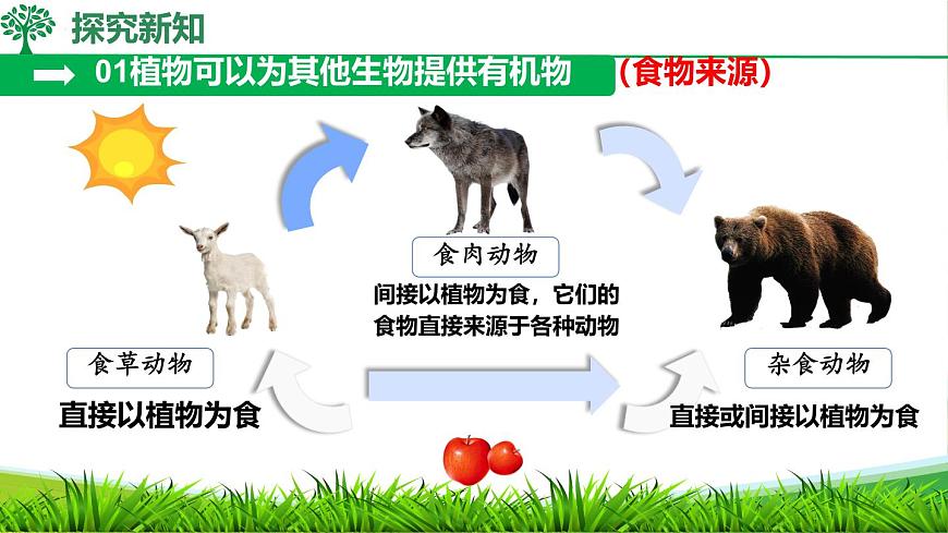 初中  生物  人教版（2024）  七年级下册（2024）第四节 植物在自然界中的作用 课件第7页