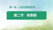 初中青春期图片课件ppt