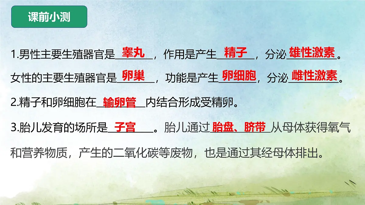 初中 生物 人教版（2024）七年级下册4.1.2 青春期 课件第2页