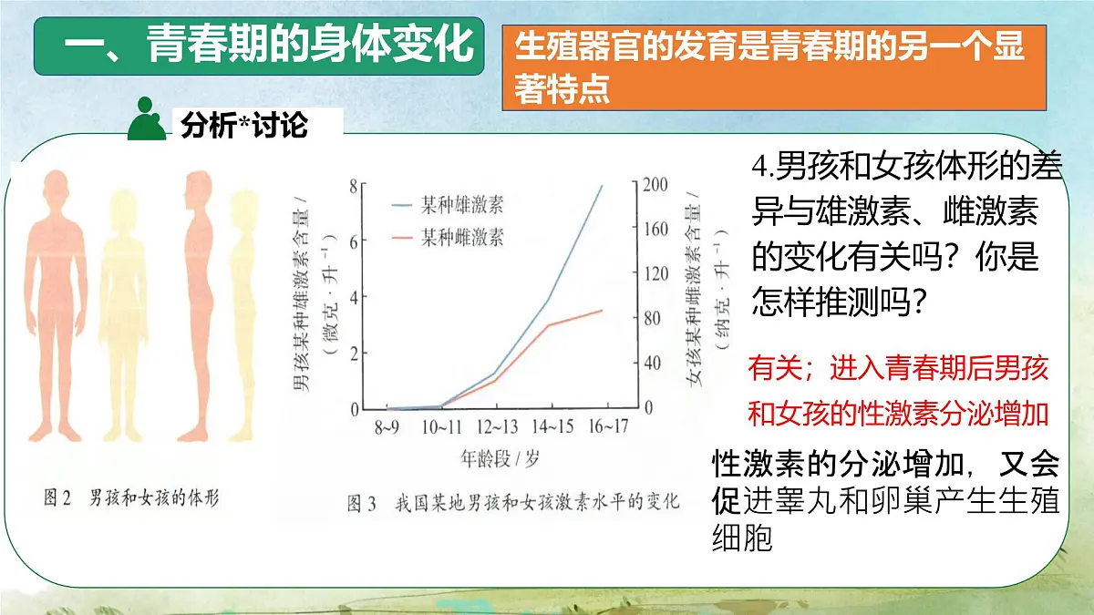 初中 生物 人教版（2024）七年级下册4.1.2 青春期 课件第5页