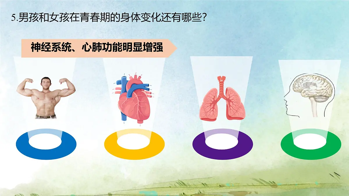 初中 生物 人教版（2024）七年级下册4.1.2 青春期 课件第6页