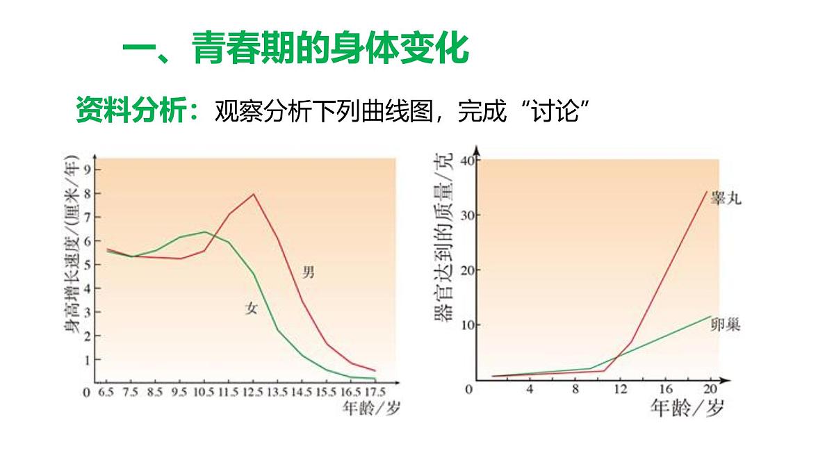 初中 生物 人教版（2024）七年级下册4.1.2 青春期 课件第7页