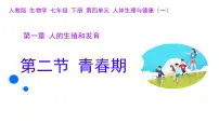 初中生物青春期说课ppt课件