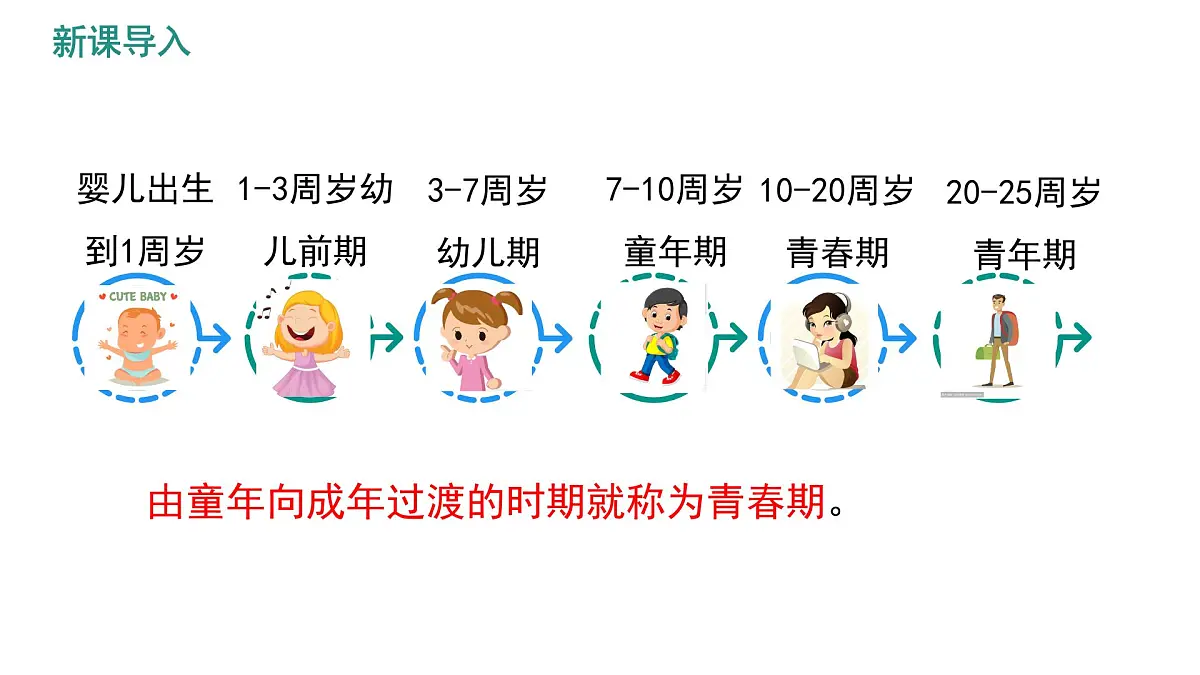 初中 生物 人教版（2024）七年级下册4.1.2 青春期 课件第3页