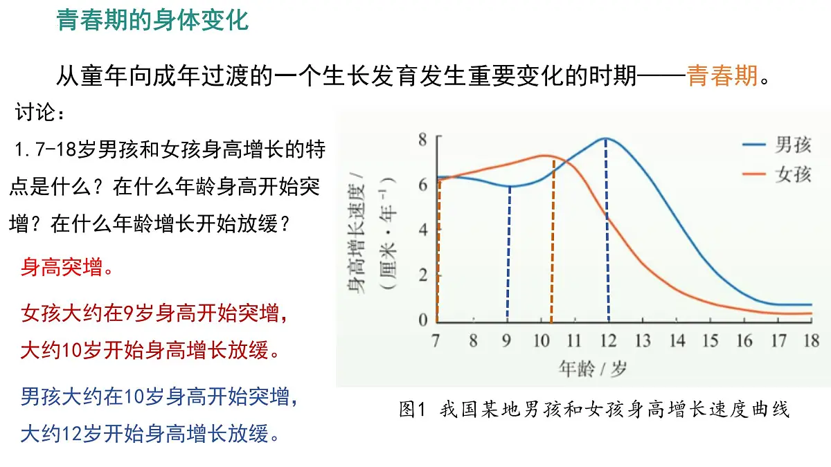 初中 生物 人教版（2024）七年级下册4.1.2 青春期 课件第6页