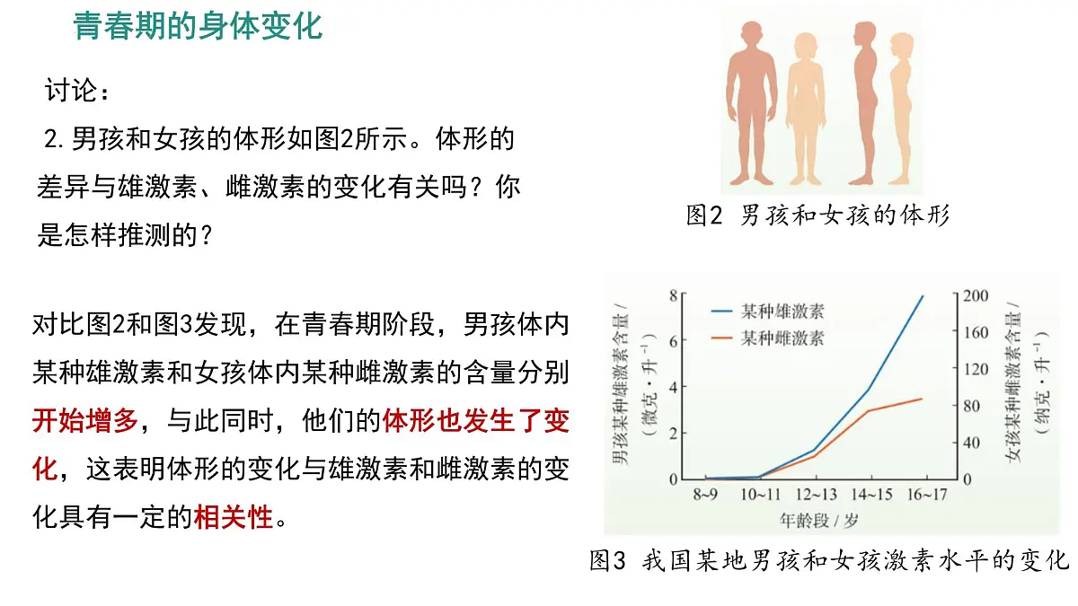 初中 生物 人教版（2024）七年级下册4.1.2 青春期 课件第7页
