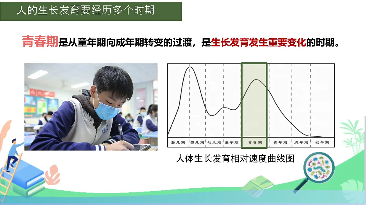 初中 生物 人教版（2024）七年级下册4.1.2 青春期 课件第2页