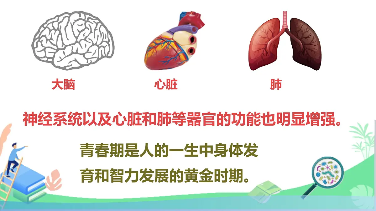 初中 生物 人教版（2024）七年级下册4.1.2 青春期 课件第4页